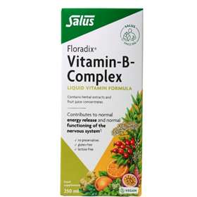 Floradix Vitamin-B-Complex Liquid Vitamin Formula 250ml
