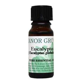 Manor Grove Eucalyptus Pure Essential Oil 10ml