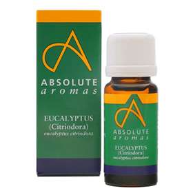 Absolute Aromas Eucalyptus Citriodora Essential Oil 10ml