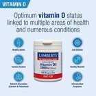 Lamberts Vitamin D3 2000iu (50µg) Capsules (120)