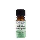 Manor Grove Valerian Pure Essential Oil 5ml