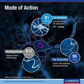 Lamberts Neuro-Guard 60 Tablets