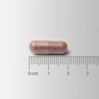 Lamberts Cogni-Focus Capsules 30
