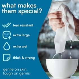 Fresh Rinse-Free Antibacterial Body Wipes Coconut Breeze 12