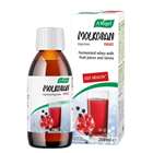 A. Vogel Molkosan Digestion Fruit 200ml