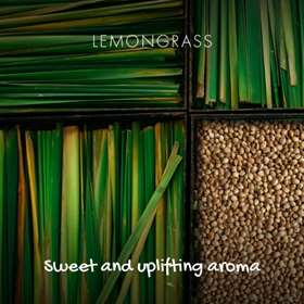 Friendly Soap Natural Soap on a Rope Zingy Lemongrass 125g