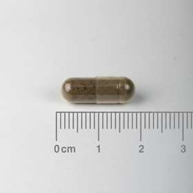 Lamberts Metabolic Weight Support  Capsules 60