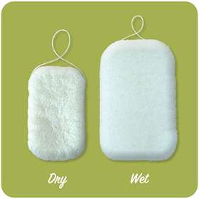 Friendly Soap Konjac Sponge 1