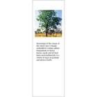 A.Vogel Herbal Insect Repellent 50ml