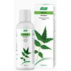 Neem Care Shampoo 250ml