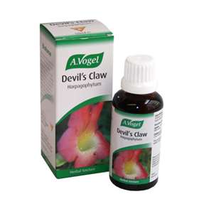 A. Vogel Devil's Claw 50ml