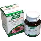 A. Vogel Echinaforce Chewable Tablets 80