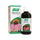 A. Vogel Echinaforce 100ml